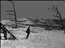 Mr Tambourine Man - Oregon Dunes